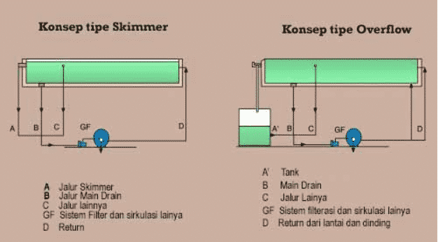 sistem kolam renang dan biaya